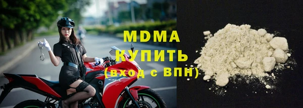 мдпв Бородино