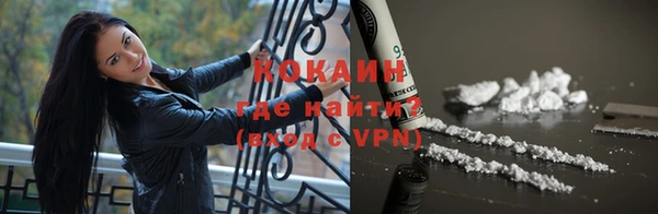 мдпв Бородино