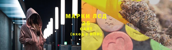 мдпв Бородино