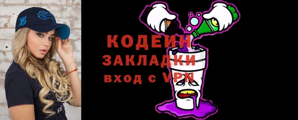 мдпв Бородино