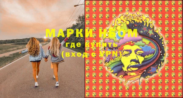 гашик Бронницы