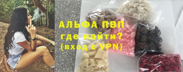 мдпв Бородино