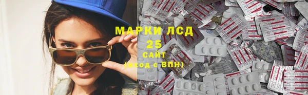 мдпв Бородино