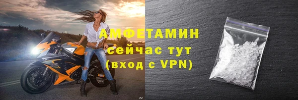 мдпв Бородино
